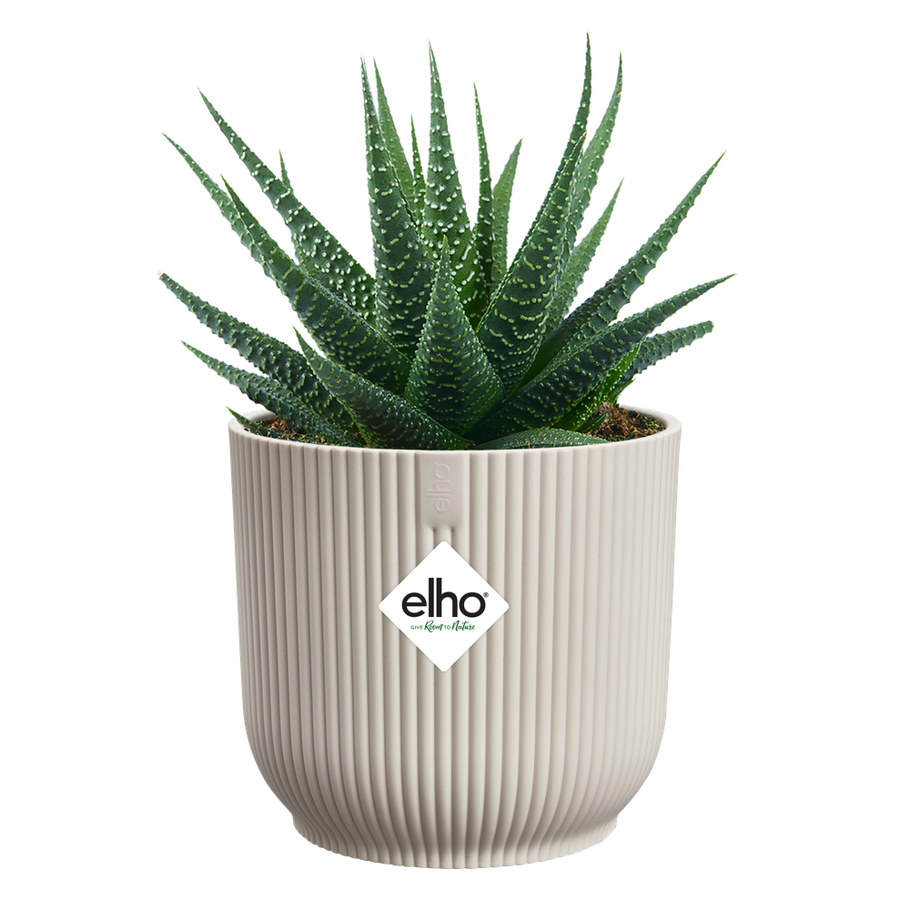 Vibes Fold Rond Mini 11