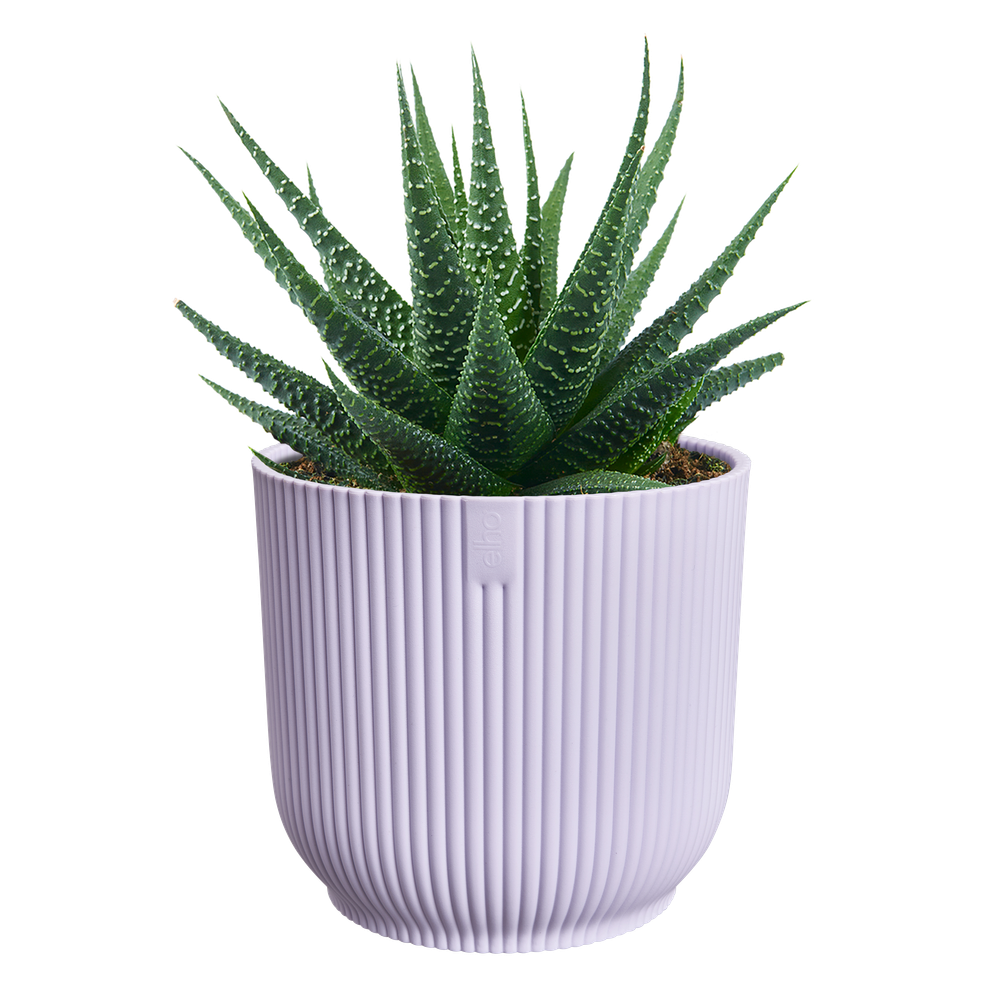 Vibes Fold Rond Mini 9