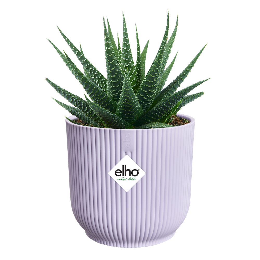 Vibes Fold Rond Mini 9