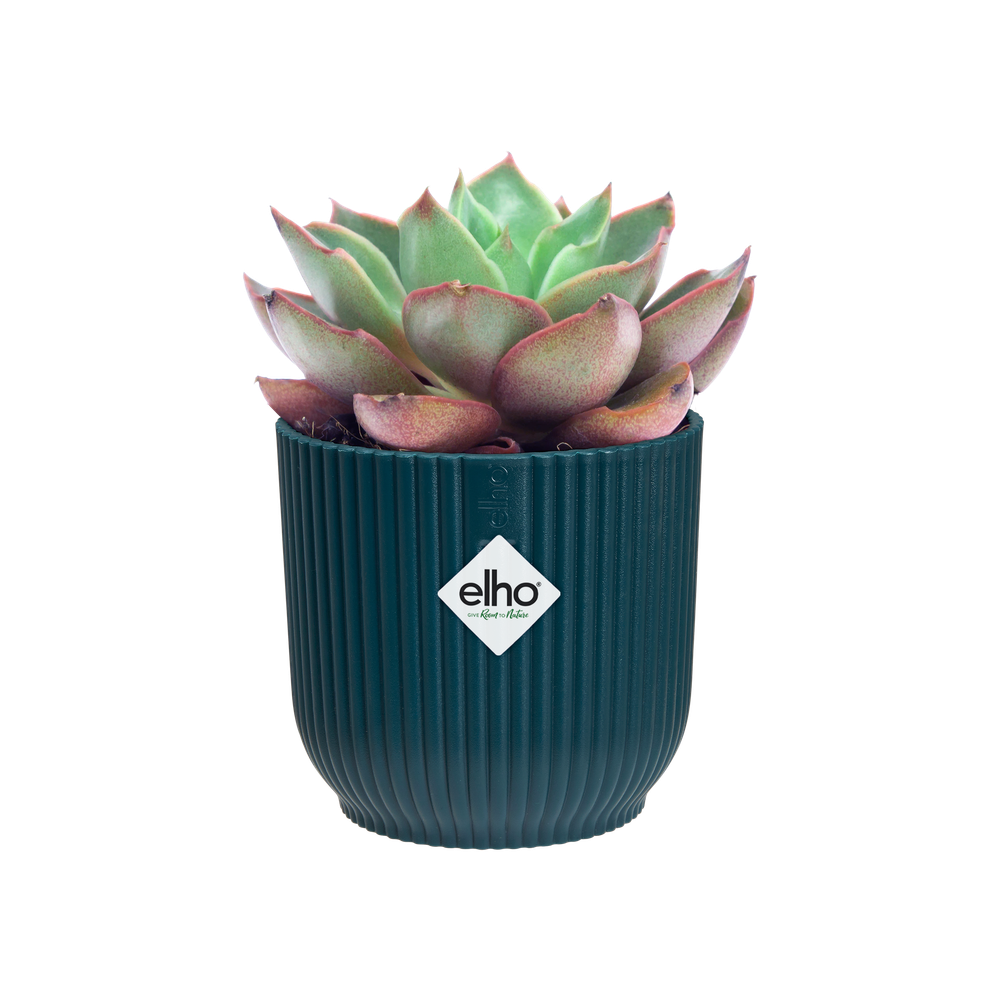 Vibes Fold Rond Mini 9