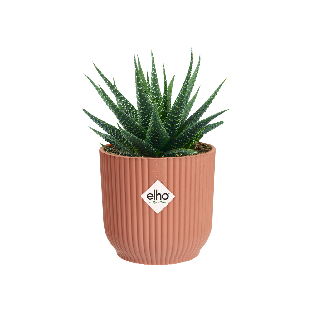 Vibes Fold Rond Mini 9