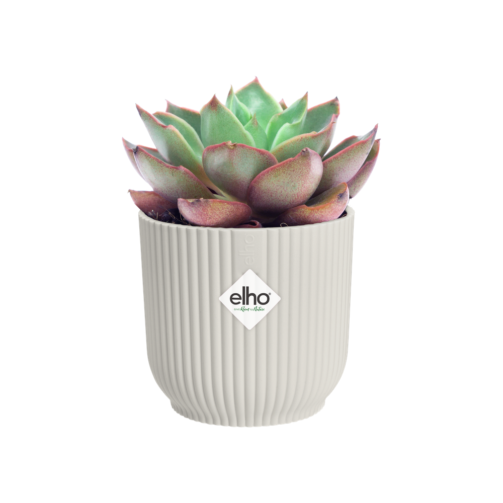 Vibes Fold Rond Mini 9