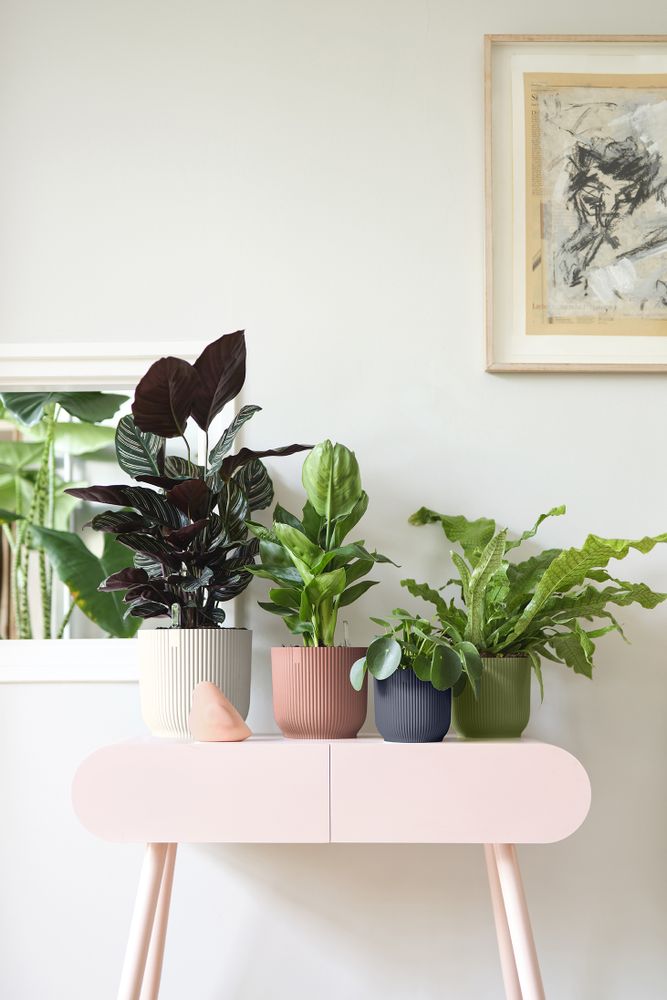 Vibes Fold Rond 22