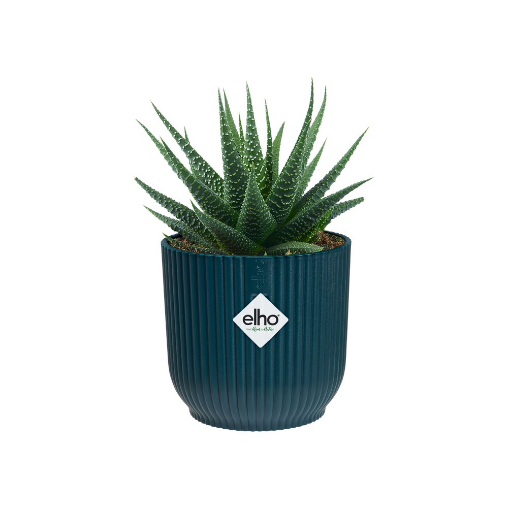 Vibes Fold Rond Mini 9
