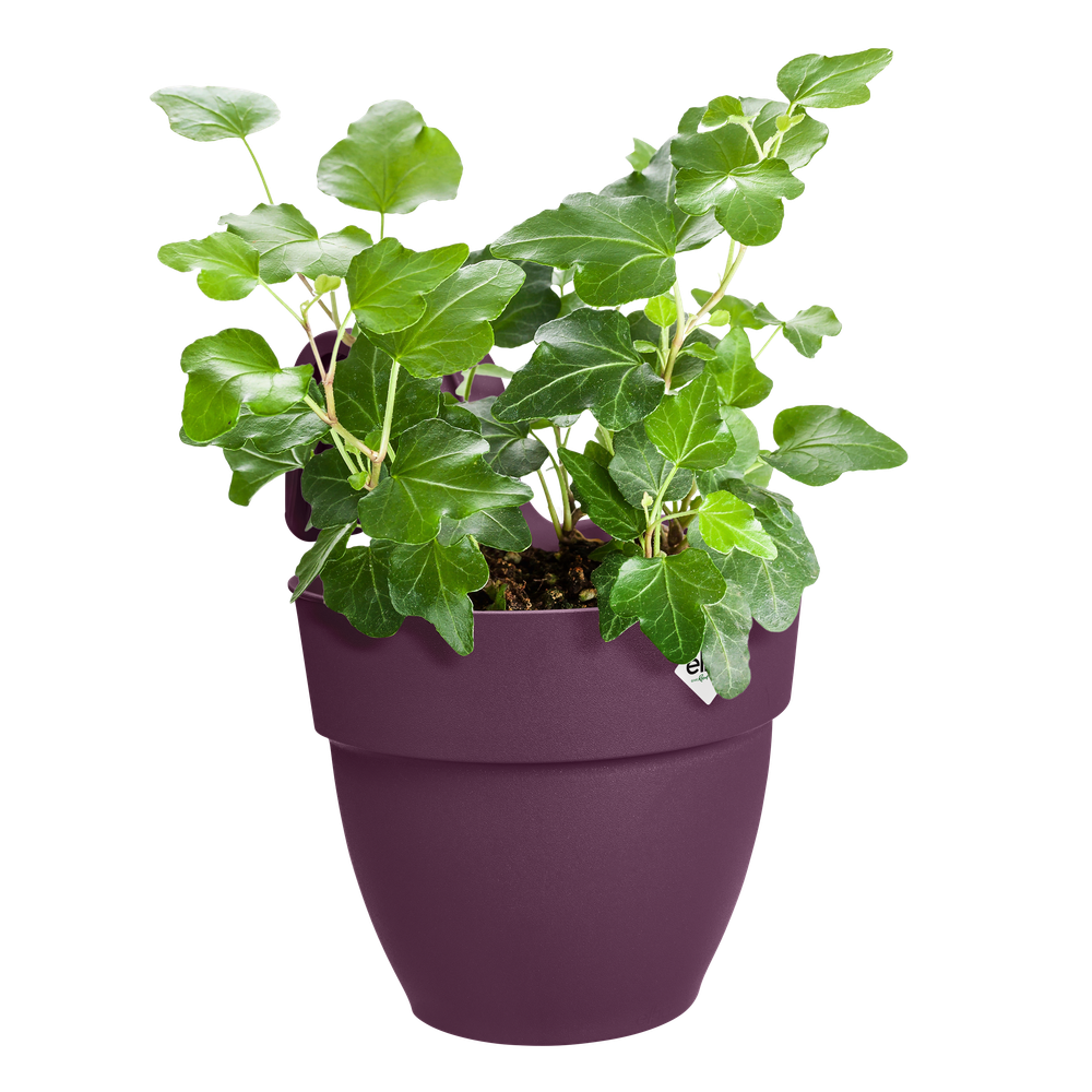 Vibia Campana Easy Hanger Small