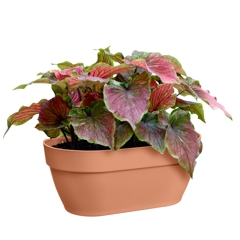 Vibia Campana Mural 35