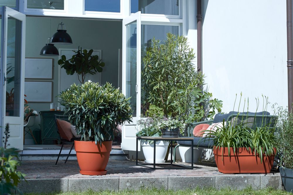 Vibia Campana Coupe 34