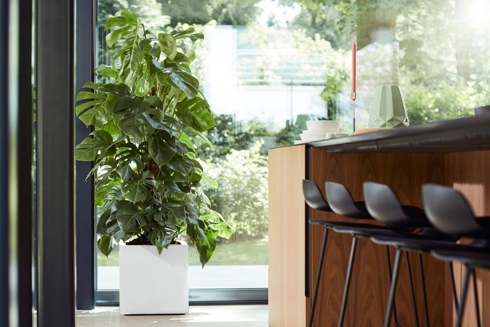 Vivo Mat Carré Roues 40